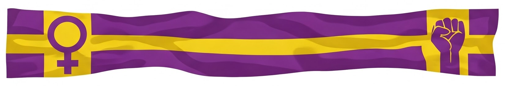 Feminist Rights Banner